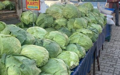 Osmaniye Semt Pazarında Lahana: Alım Gücüne Yanıt!