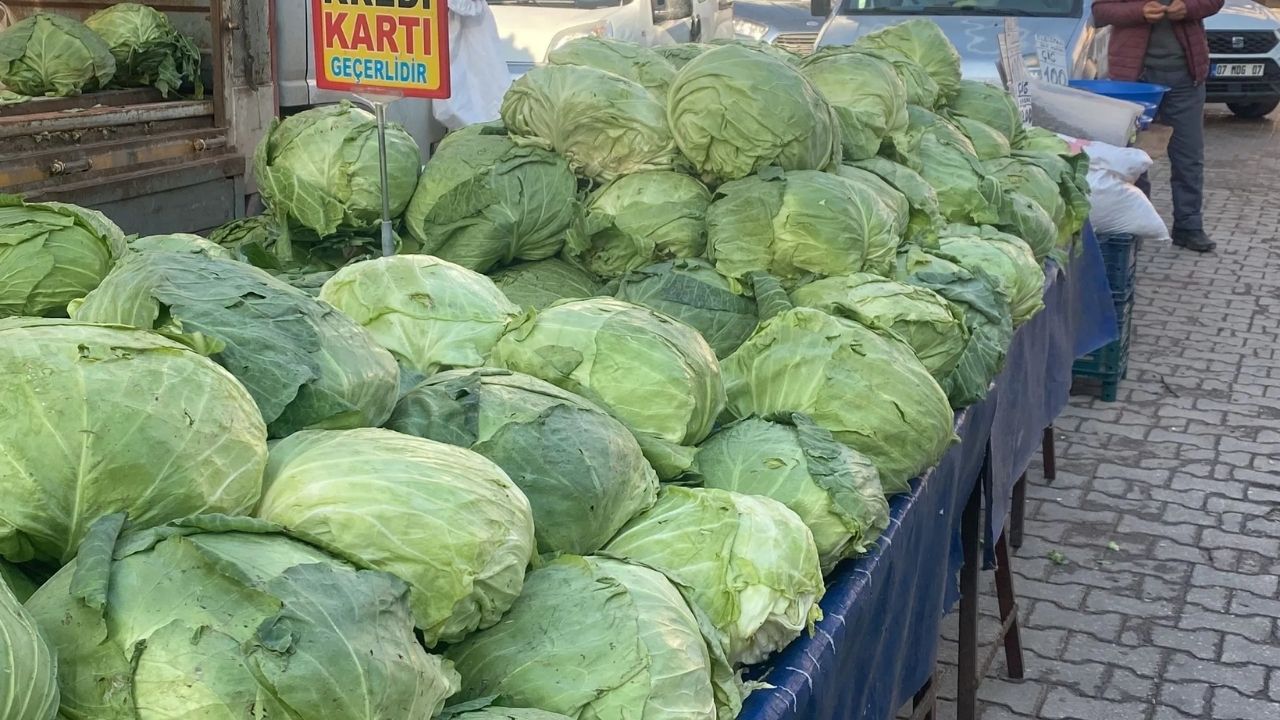 Osmaniye Semt Pazarında Lahana Alım Gücüne Yanıt!