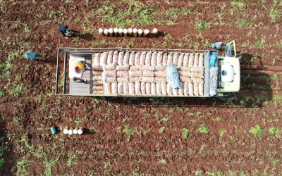 Ağustos Enflasyonunda Mutfak Malzemeleri Fiyatlarında Büyük Düşüş