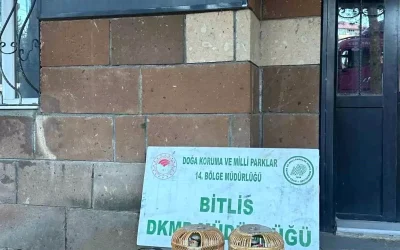 Bitlis’te Kaçak Keklik Avına Ağır Ceza Geldi