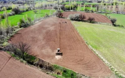 Tarım Ürünleri Üretici Fiyat Endeksi %41,55 Arttı