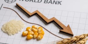 Küresel Emtia Fiyatları 6 Yılın En Düşük Seviyesinde