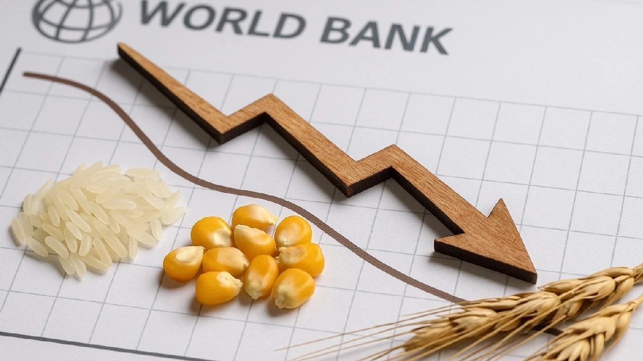 Küresel Emtia Fiyatları 6 Yılın En Düşük Seviyesinde