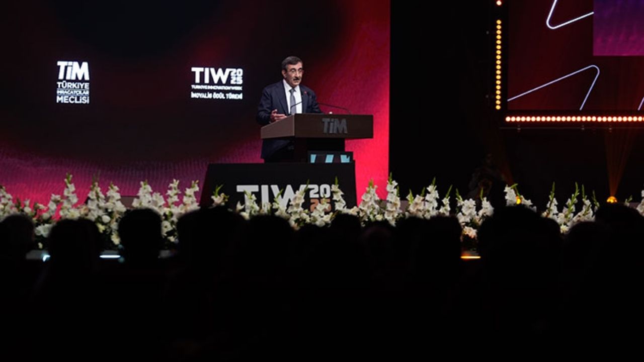 Yılmaz Dünya ekonomisi çalkantılı, Türkiye kararlı