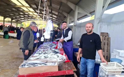 Hisarcık’ta Balık Fiyatları Düşüşte: Hamsi ve Sardalya 150 TL’ye Geriledi