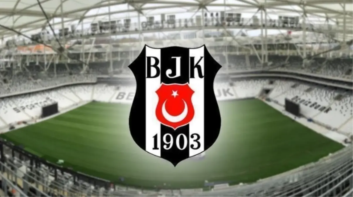 besiktas-dikilitas-projesi-nedir-ne-kadar-gelir-19203033_911_amp.jpg