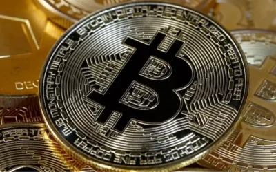 Bitcoin hazine sahibi şirketler son 3 ayda rekor artış gösterdi.