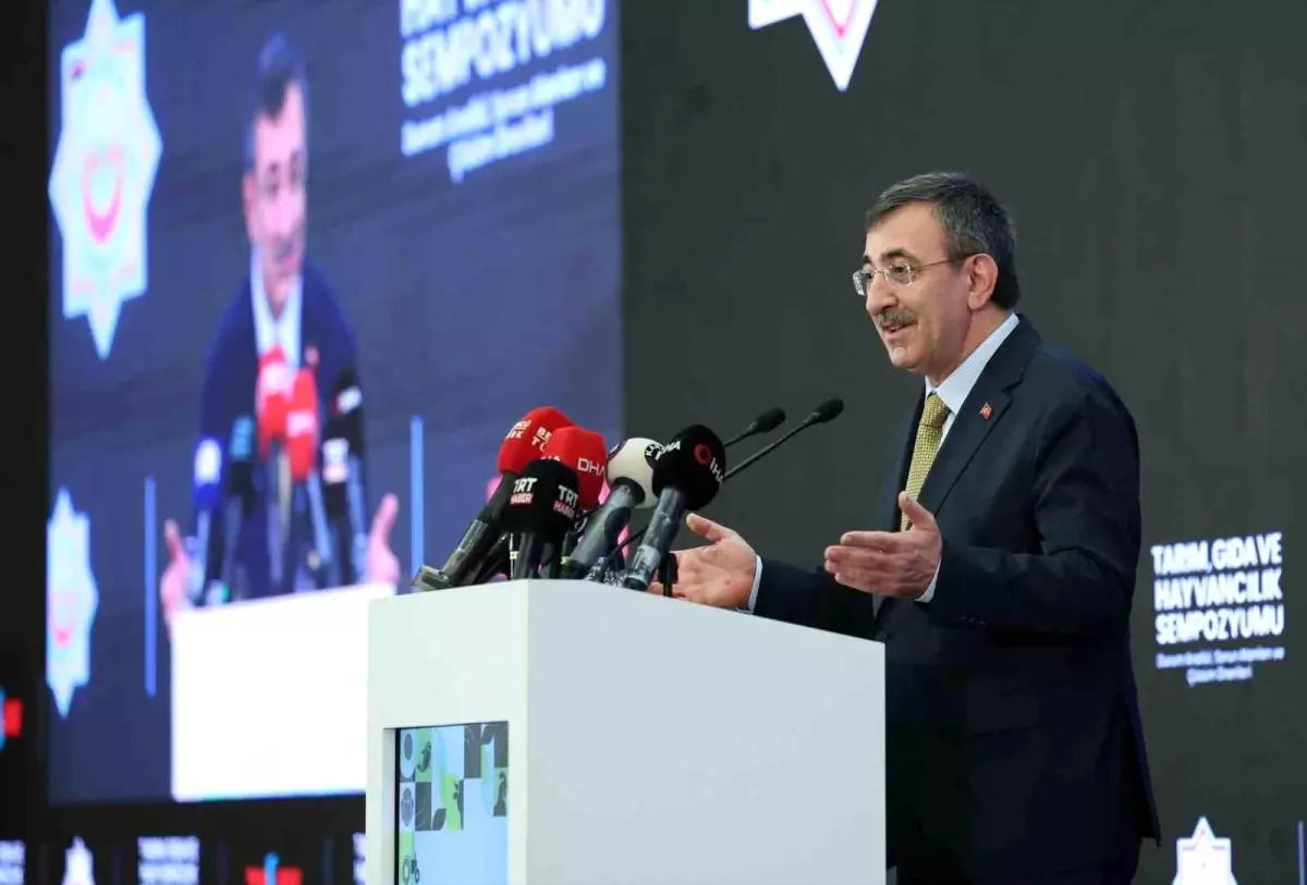 cumhurbaskani-yardimcisi-yilmaz-2026-butcesin-19161973_amp.jpg