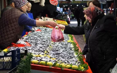 Bolu’da Hamsi Fiyatı 250 Liradan 150 Liraya İndi