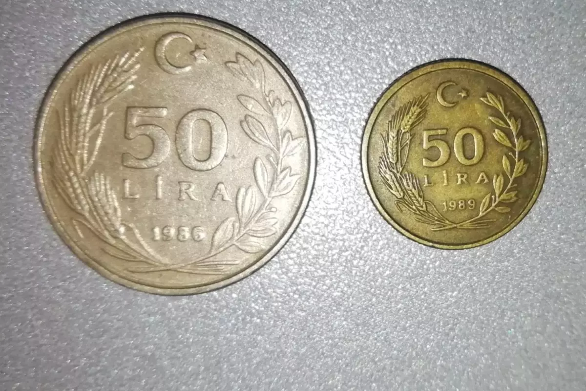 hatali-basim-50-lira-artik-binlerce-lira-degerinde-19107343_1783_amp.jpg