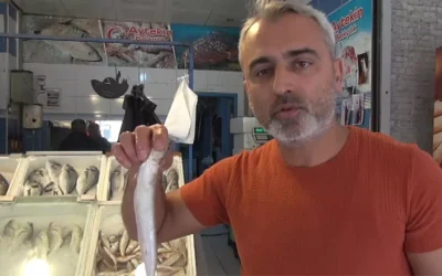 İskenderun’da Jumbo Karides Fiyatları Düştü!