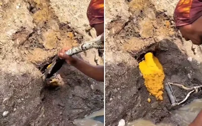 Altın Fışkıran Kürek: Şansın İnanılmaz Hikayesi