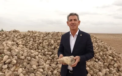 Aksaray’da Şeker Pancarı Hasadı Başladı