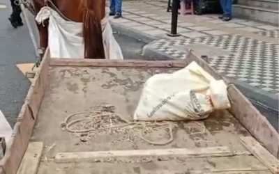 Yaya geçidinde park eden araca 993 lira ceza!