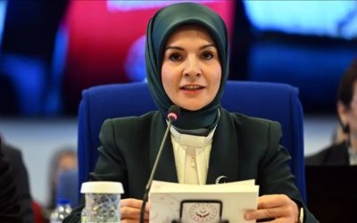 Bakan Göktaş, Plan ve Bütçe Komisyonunda soruları cevapladı