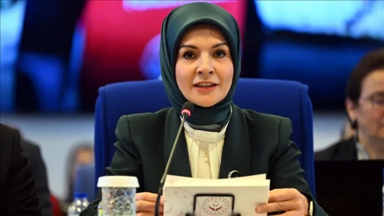 Bakan Göktaş, TBMM Plan ve Bütçe Komisyonunda soruları cevapladı