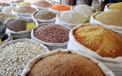 Güneydoğu Anadolu Bölgesi İhracatı Yüzde 4,6 Arttı