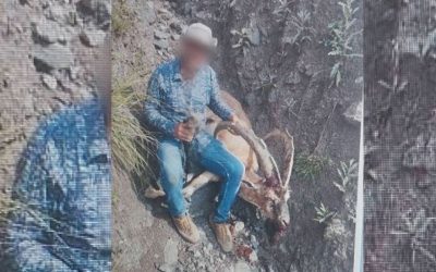 Kars’ta Koruma Altındaki Yaban Keçisini Avlayana Ağır Ceza