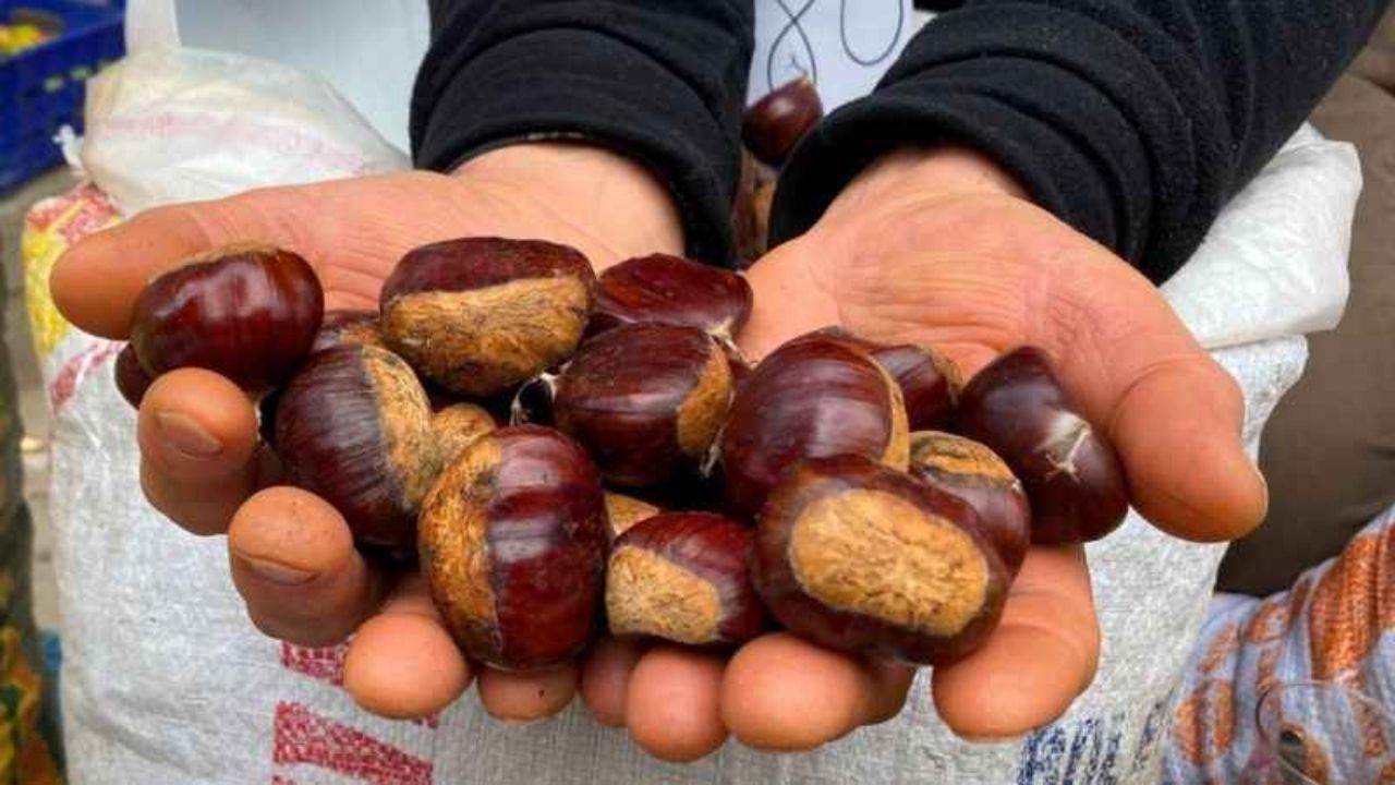Kestanenin kilosu 300 liraya dayandı Vatandaş gramla alıyor