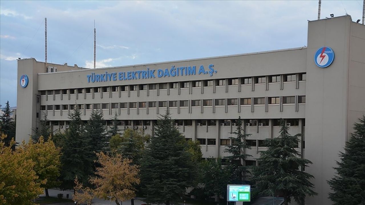 TEDAŞ, Canlı Hat Bakım Projesi İhalesini Başlattı
