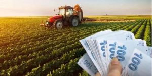 TMO Raporu: Gübre Maliyetleri Tarımı Negatif Etkiliyor