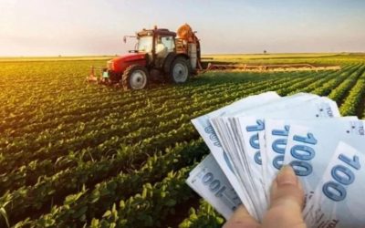 TMO Raporu: Gübre Maliyetleri Tarımı Negatif Etkiliyor