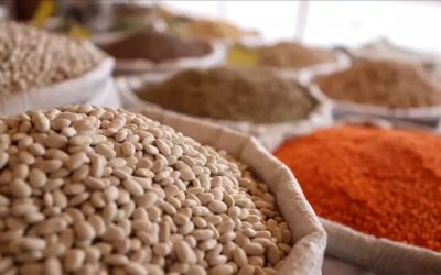 Türkiye’nin Gıda İhracatı 10 Ayda 10 Milyar Doları Geçti