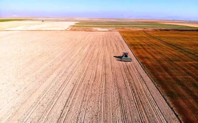 Konya Ovası’nda Yağmur Çiftçileri Sevindirdi