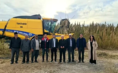 Konya’da Endüstriyel Kenevir Hasadı Başladı