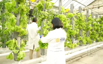 TENMAK’tan Yeni İklim Dostu Tarım Çalışmaları