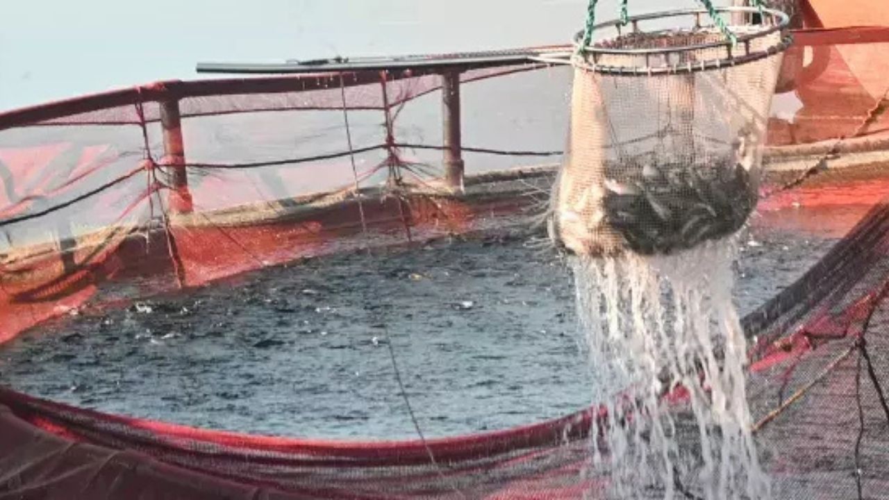 81 İlde Eş Zamanlı Fahiş Fiyat Denetimi İki Reyon Özellikle Mercek Altında (1)