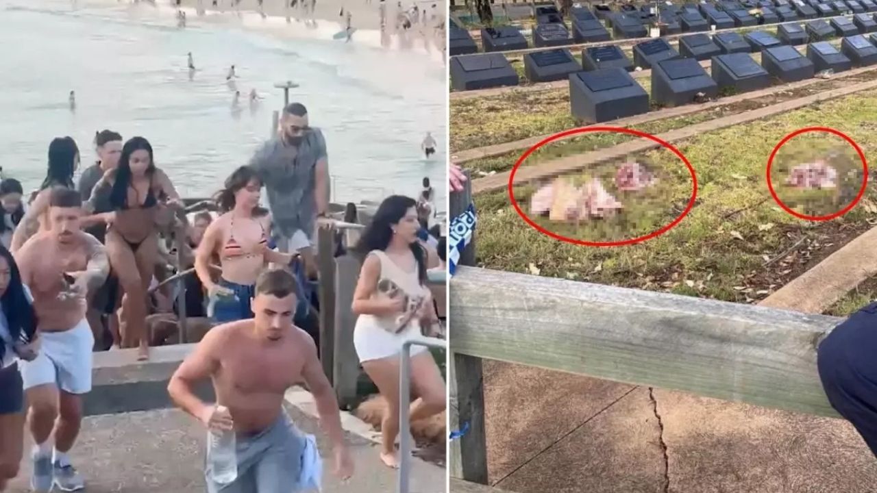 Bondi Plajı Saldırısı Sonrası Müslüman Mezarlığına Domuz Kafaları Bırakıldı