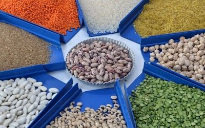 Hububat ve baklagiller için lisanslı depolamada süre değişti: Yeni dönem 2026’da başlıyor