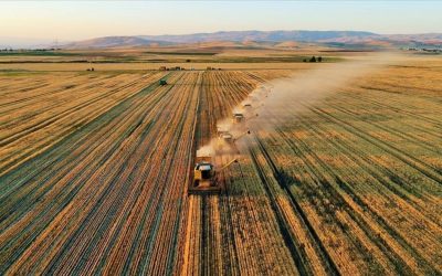 Karşılıksız 11,5 Milyon Liralık Hibe: Gercüş’te Kalkınma Atağı Başlıyor