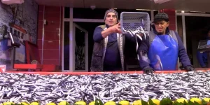 Bolu’da Hamsi Talebi Artıyor, Fiyatı 150 TL